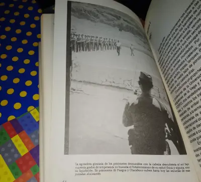 Prigué - Rolando Carrasco Moya - miniatura 5