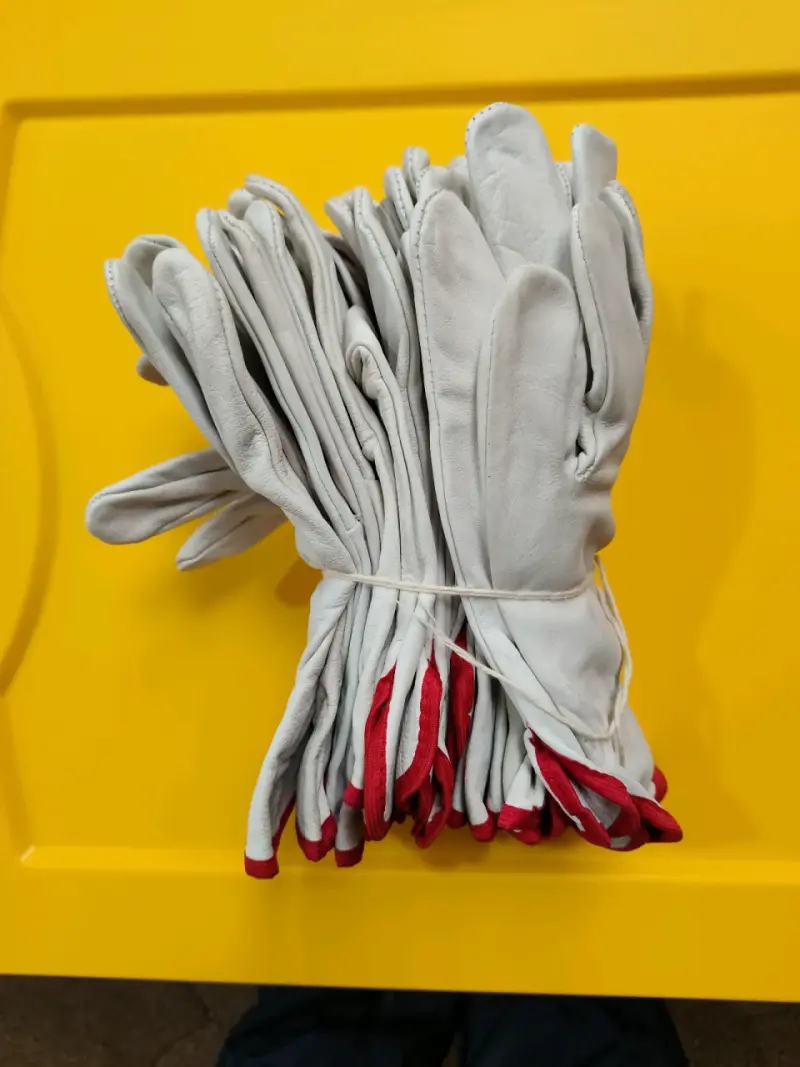 Overol de Protección Tyvek 500 Xpert XL - 2