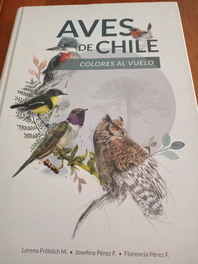 Libro Aves de Chile Colores al Vuelo - 1