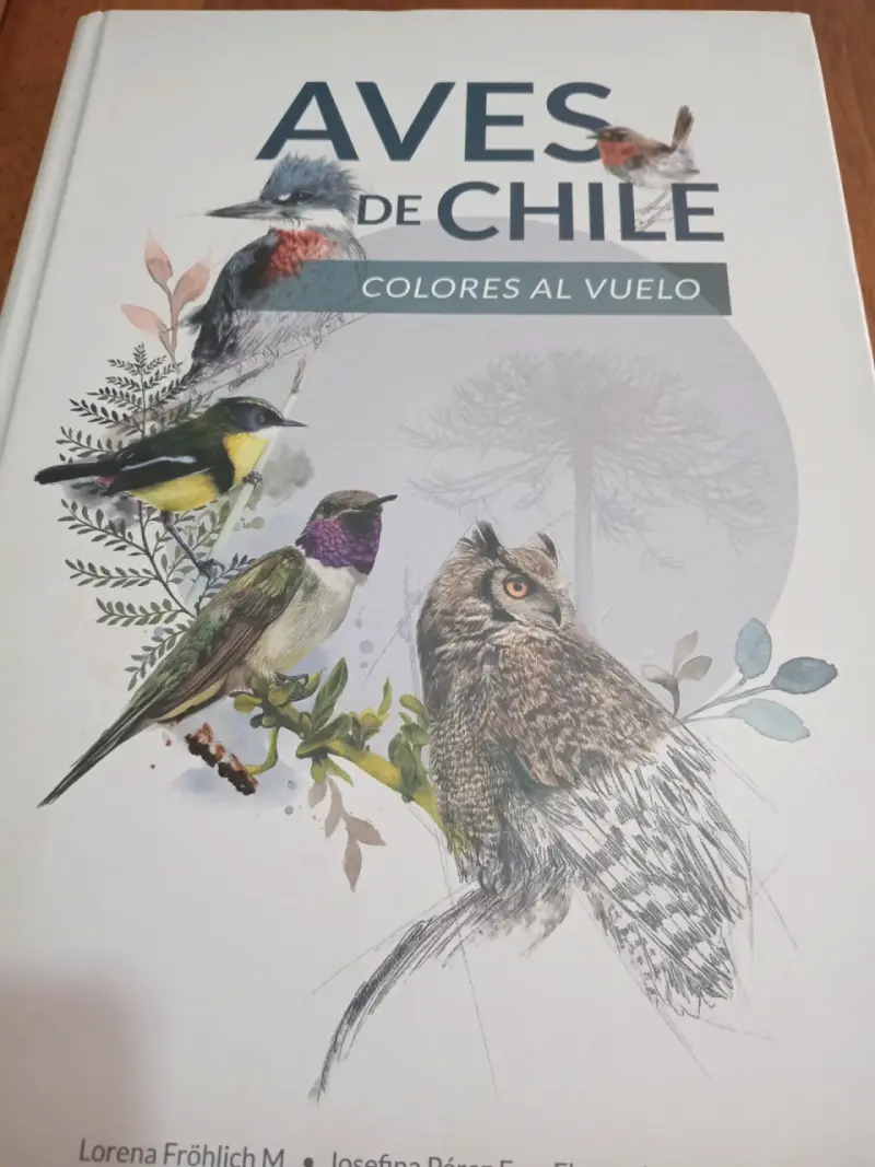 Libro Aves de Chile Colores al Vuelo - 2