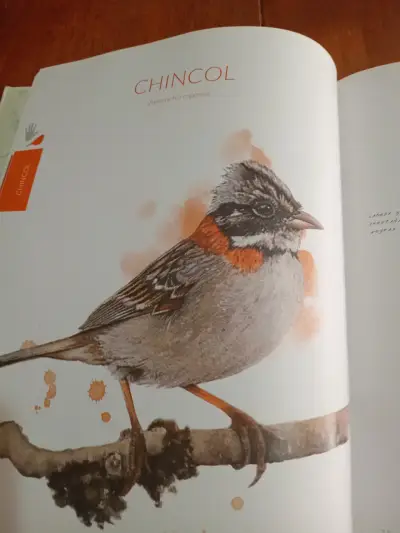 Libro Aves de Chile Colores al Vuelo - miniatura 3