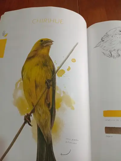 Libro Aves de Chile Colores al Vuelo - miniatura 5