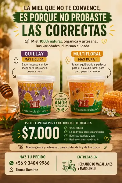 Miel Orgánica Artesanal Quillay y Multifloral - miniatura 1