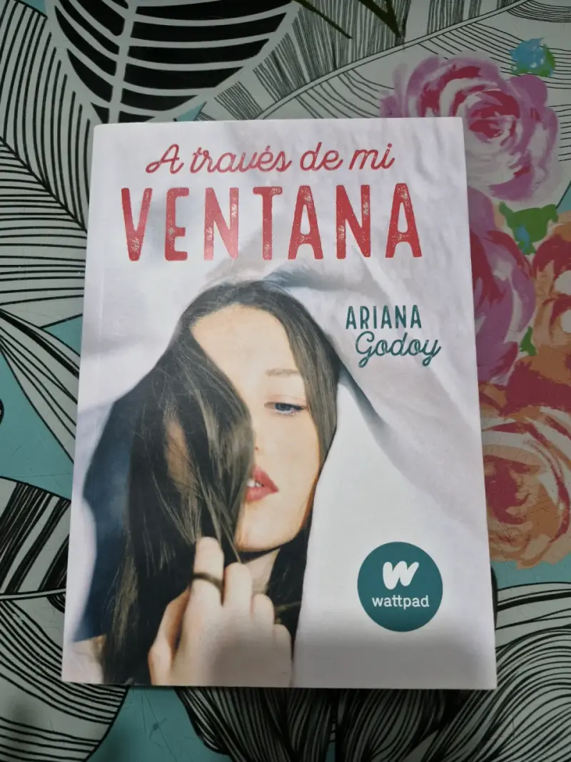 Libro 'A través de mi ventana' de Ariana Godoy