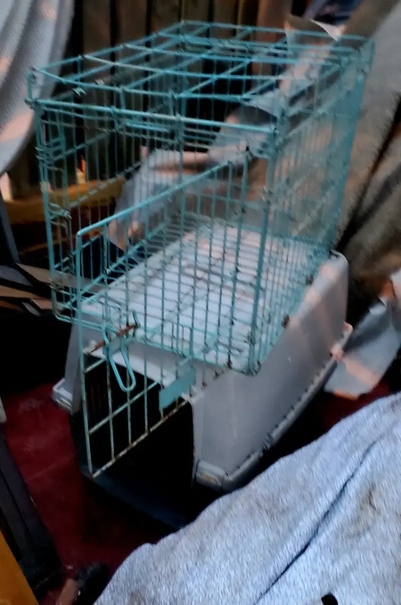 Jaula de transporte para mascotas con puerta metálica - 2