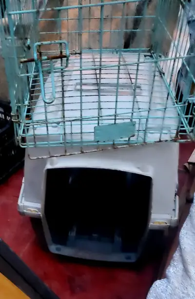 Jaula de transporte para mascotas con puerta metálica - miniatura 4