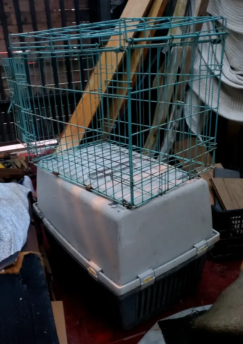 Jaula de transporte para mascotas con puerta metálica - 5