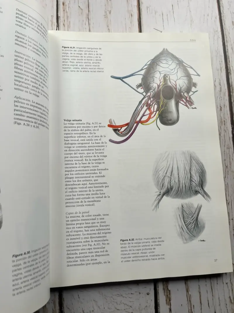 Operaciones por Vía Vaginal de Reiffenstuhl - 4