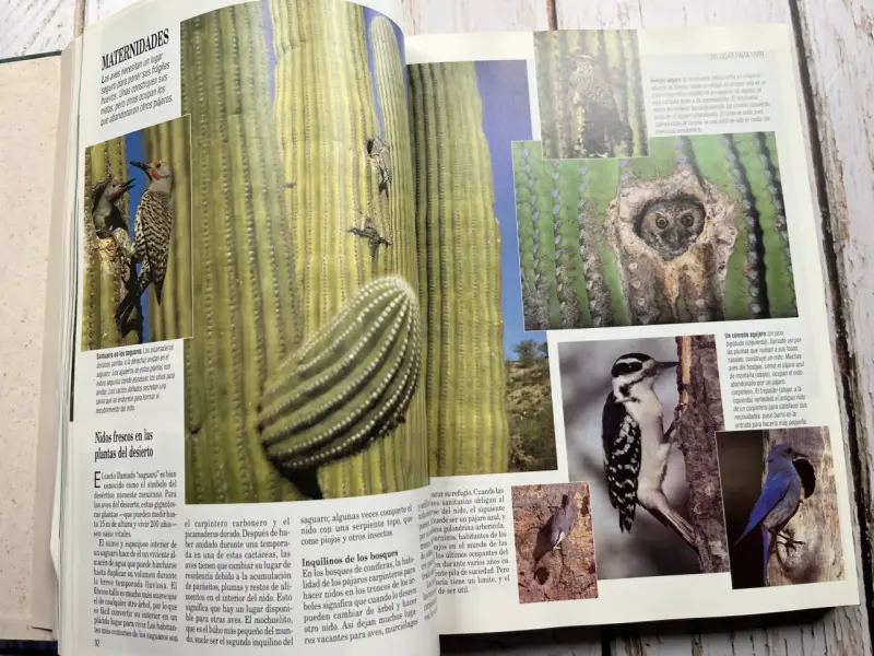 Libro Secretos del Mundo Animal Reader's Digest - 5