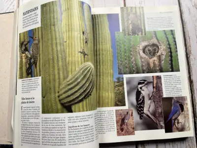 Libro Secretos del Mundo Animal Reader's Digest - miniatura 5