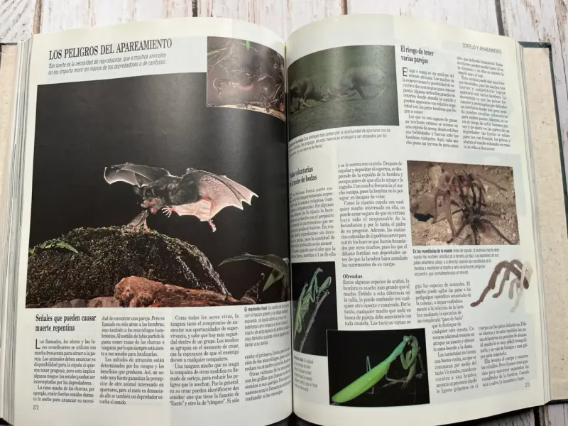 Libro Secretos del Mundo Animal Reader's Digest - 6