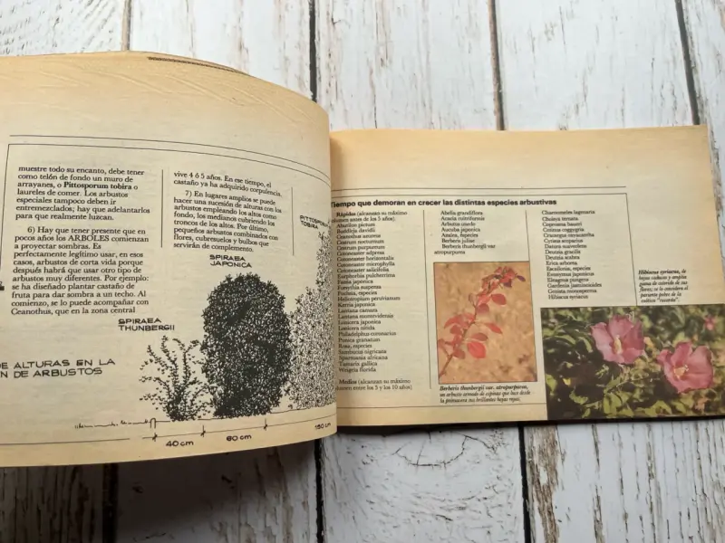 Libros de jardinería por Raúl Silva Vargas - 6