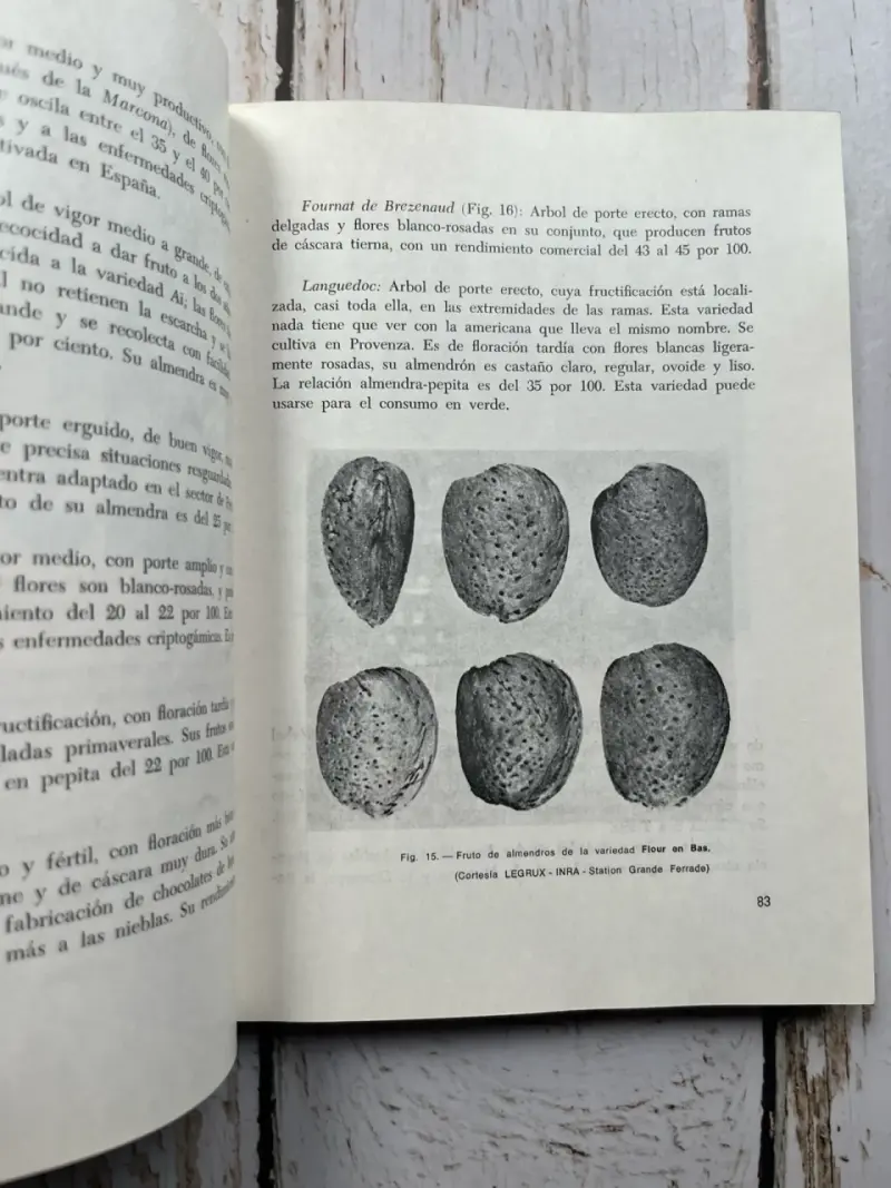 El Almendro: Técnicas de Cultivo J. Lopez - 4