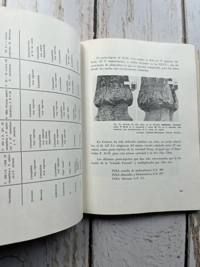 El Almendro: Técnicas de Cultivo J. Lopez - 6