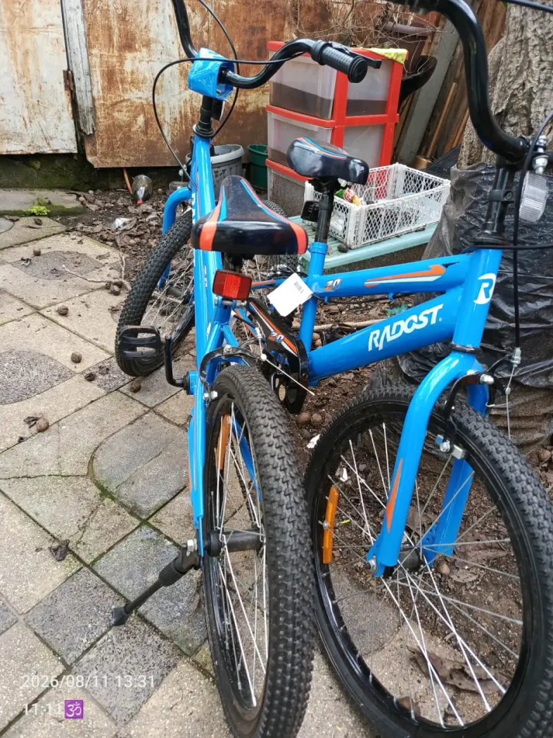 Bicicleta infantil azul Radost con diseño deportivo - 1