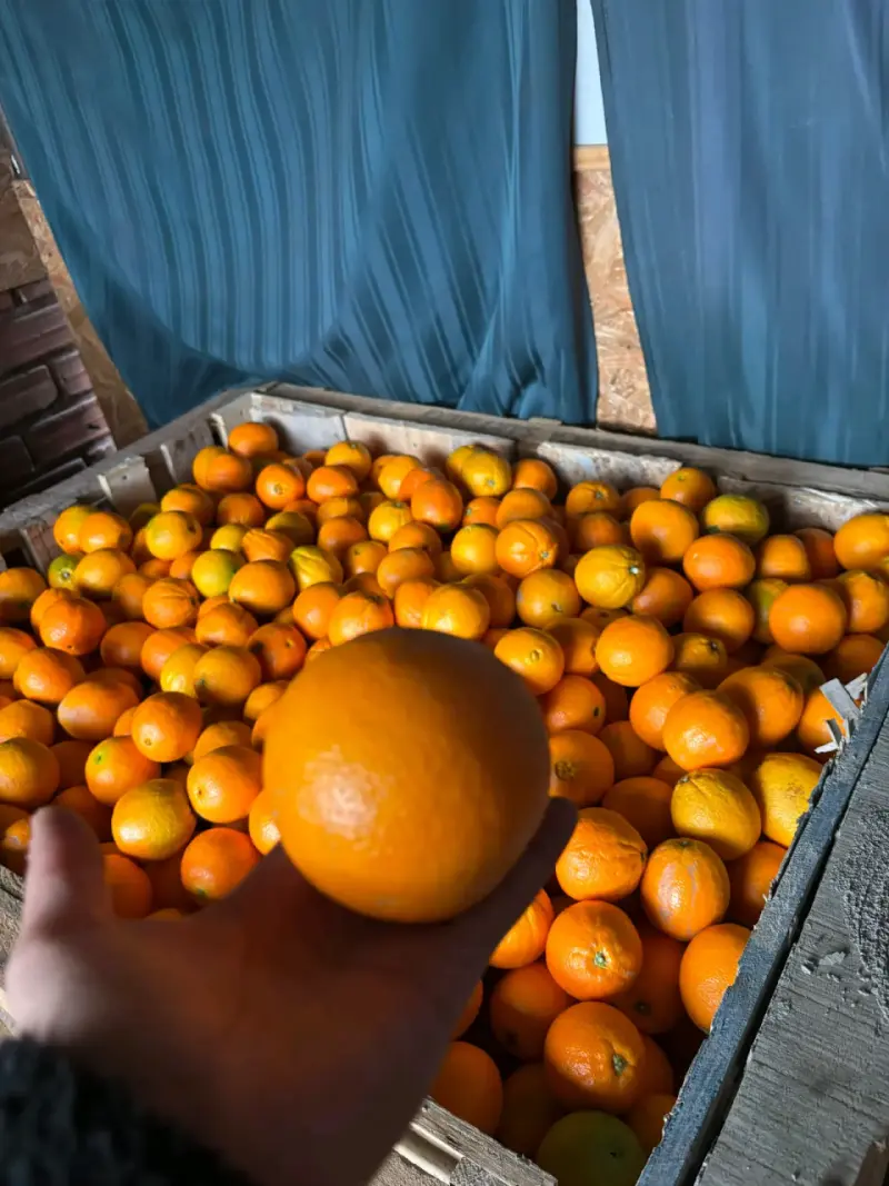 Naranjas frescas a granel - 1