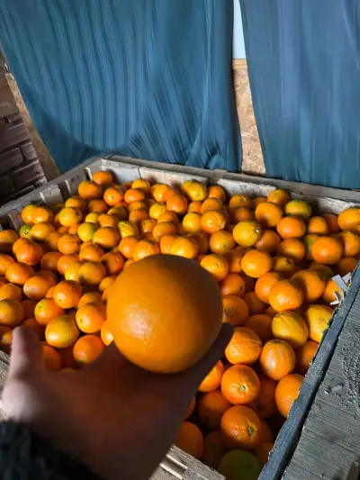 Naranjas frescas a granel - miniatura 1