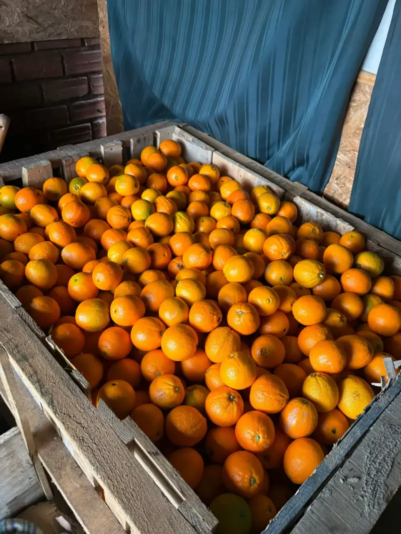 Naranjas frescas a granel - 2