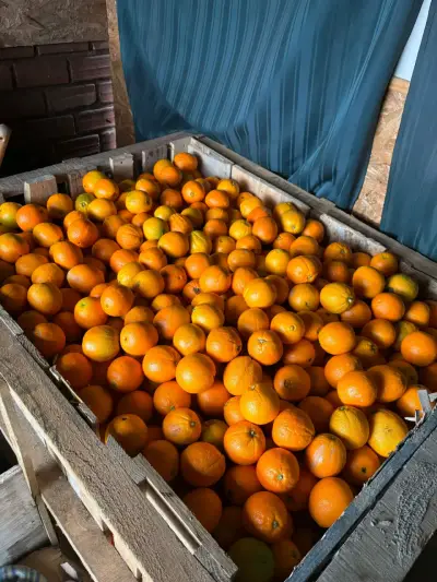 Naranjas frescas a granel - miniatura 2