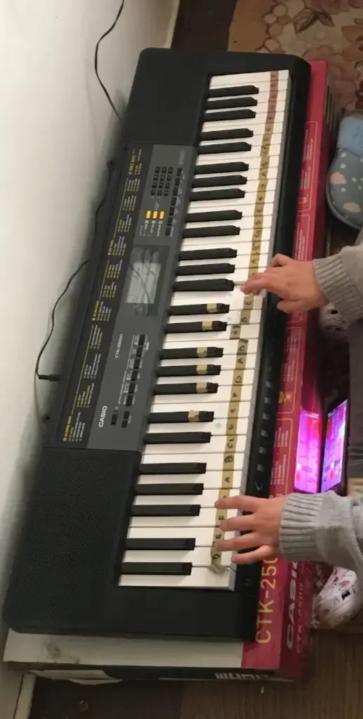 Teclado Casio CTK-2500 con 61 teclas - 1