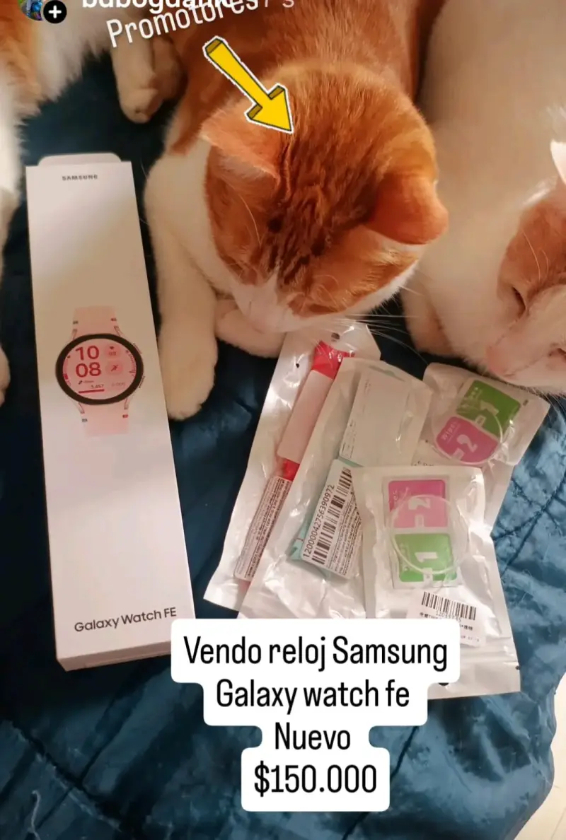 Reloj Samsung Galaxy Watch FE Rosado Nuevo - 4