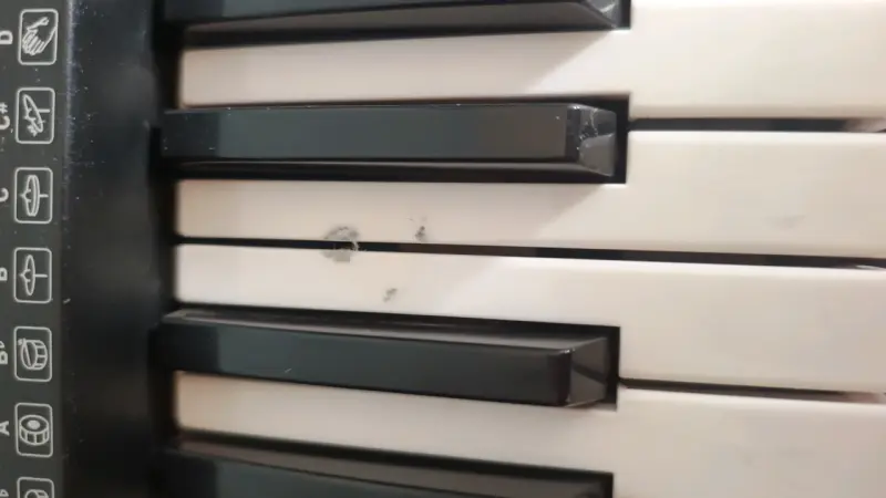 Teclado electrónico Joy JK-60 con soporte incluido - 3