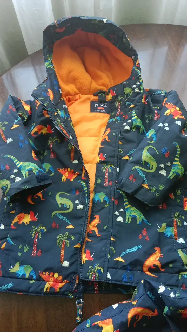 Conjunto de nieve infantil con diseño de dinosaurios - 2