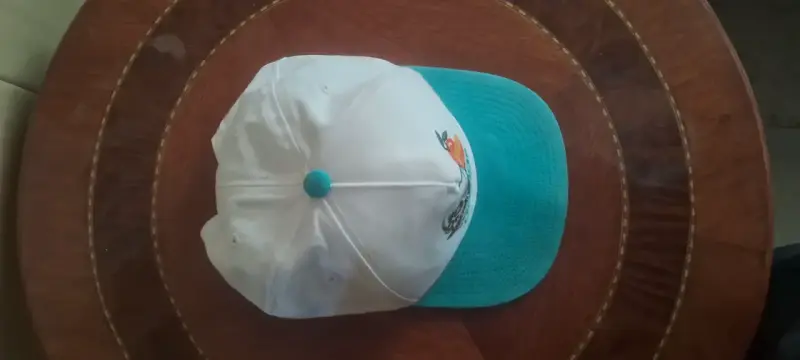 Gorra Adidas Skateboarding con diseño de calavera - 2