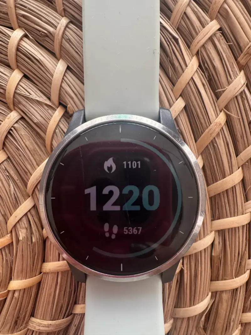 Smartwatch Garmin Vivoactive 4 con correas intercambiables - 1