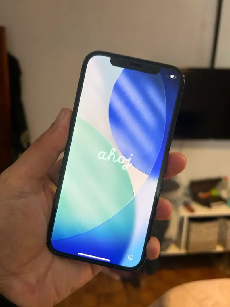 iPhone 12 Pro Max 256GB - 1