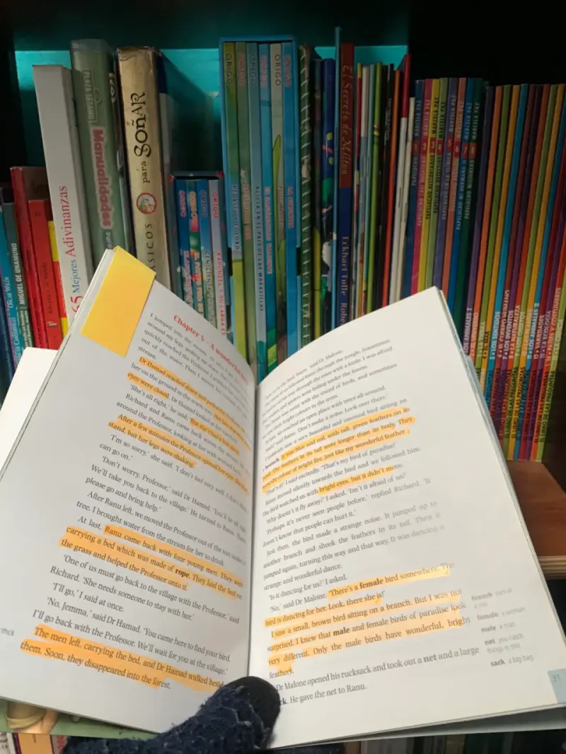 Libro Jemma's Jungle Adventure en inglés - 2