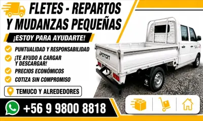 Servicio de fletes y mudanzas pequeñas en Temuco - miniatura 2