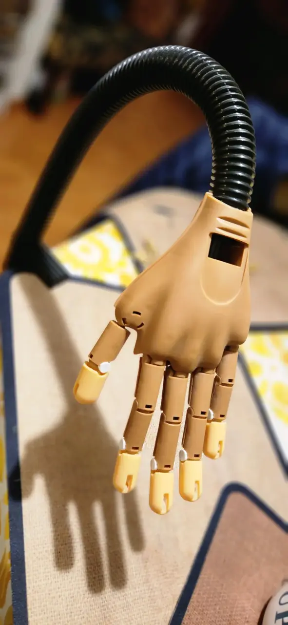 Mano robótica articulada para prácticas - 1