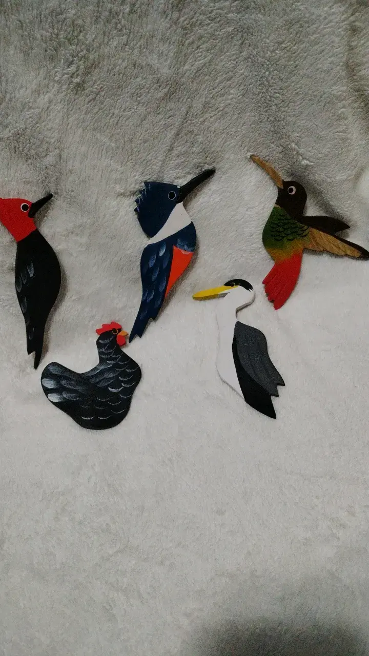 Set de imanes decorativos de aves coloridos - 1
