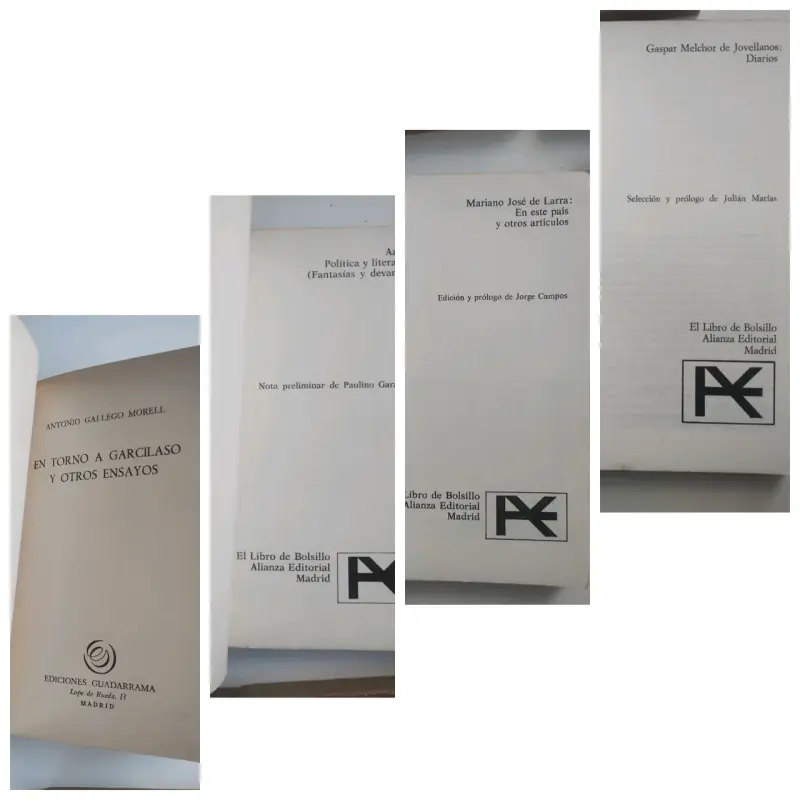 Lote de 4 libros clásicos de ensayo y literatura - 2