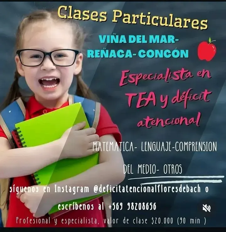 Clases particulares en Viña del Mar para niños con TEA