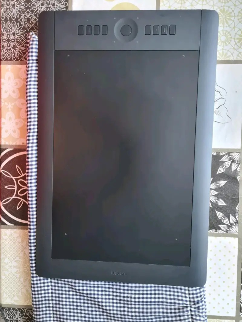 Tableta gráfica Wacom Intuos Pro L con lápiz - 2
