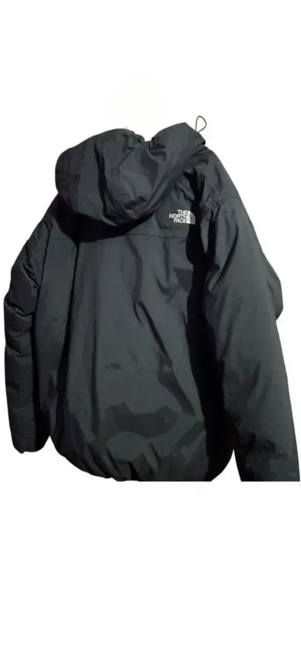 Chaqueta The North Face en plumas para hombre - 2