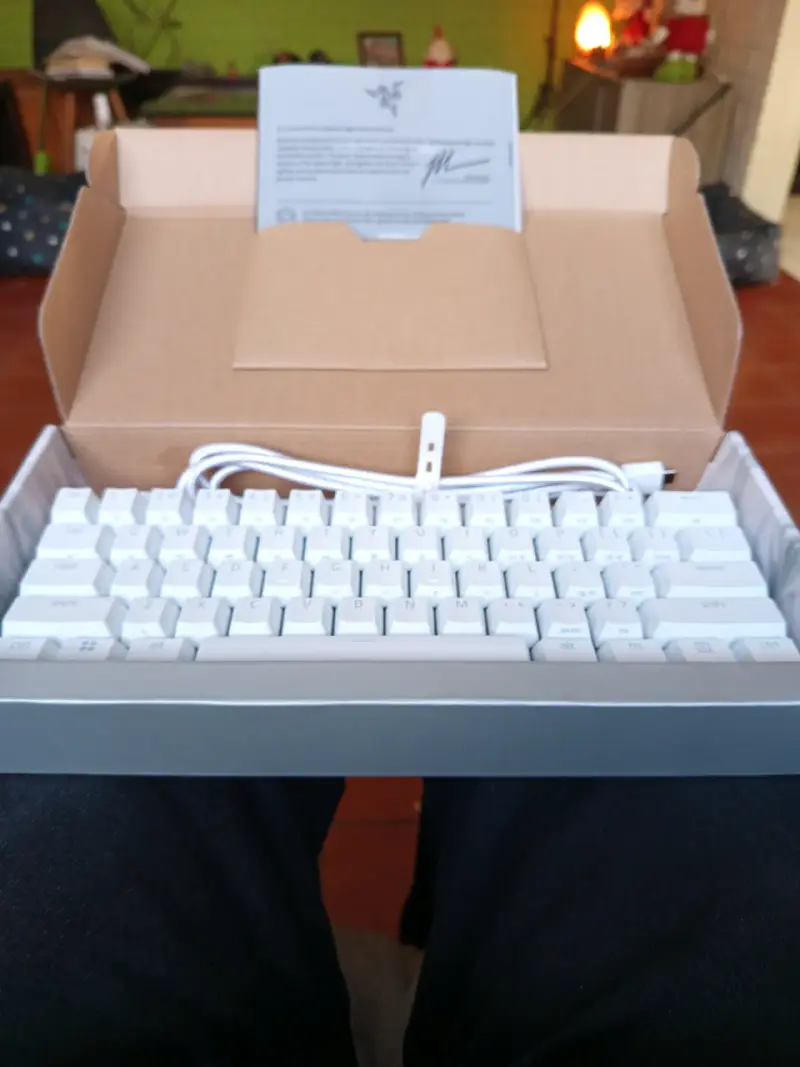 Teclado Mecánico Razer Huntsman Mini Mercury RGB - 3