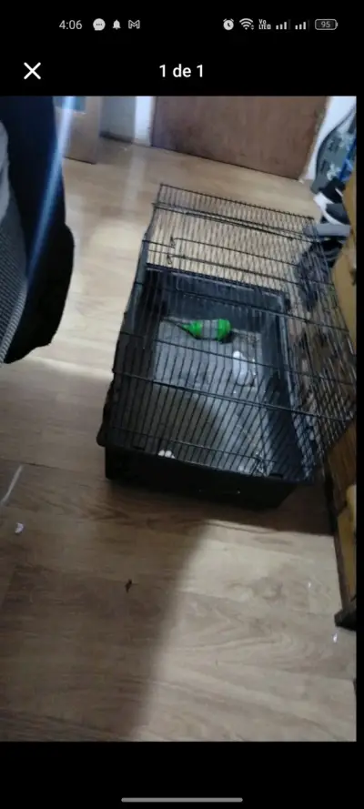 Jaula para mascotas pequeña de metal - miniatura 1