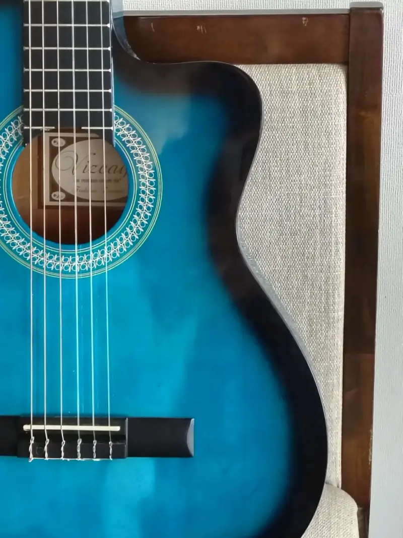 Guitarra Electroacústica Vizcaya sin uso con Case - 2
