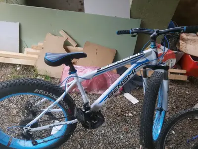 Bicicleta de Montaña Benshi con Neumáticos Ancho - miniatura 2