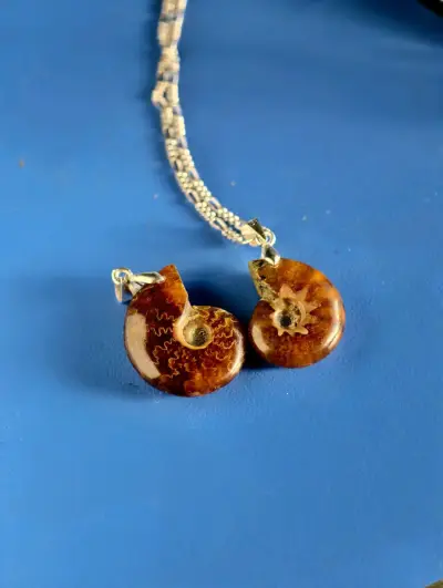 Cadena de plata con colgante de fósil de amonita - miniatura 1