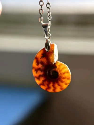 Cadena de plata con colgante de fósil de amonita - miniatura 2