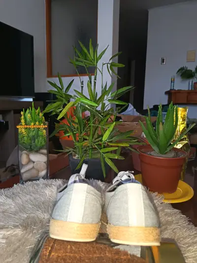 Zapatillas gris con brillos - miniatura 4