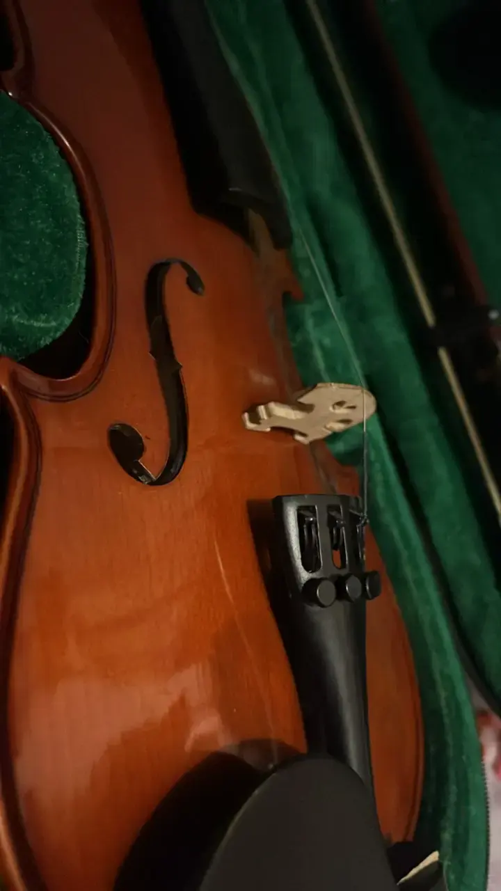 Violín acústico con estuche y arco - 2