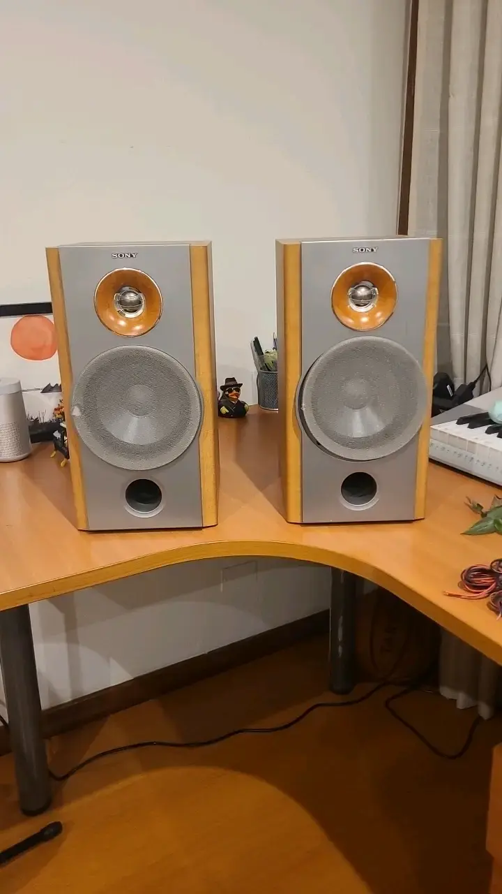 Parlantes Sony SS-NX1 de madera - 1