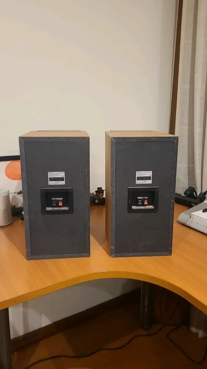 Parlantes Sony SS-NX1 de madera - 3