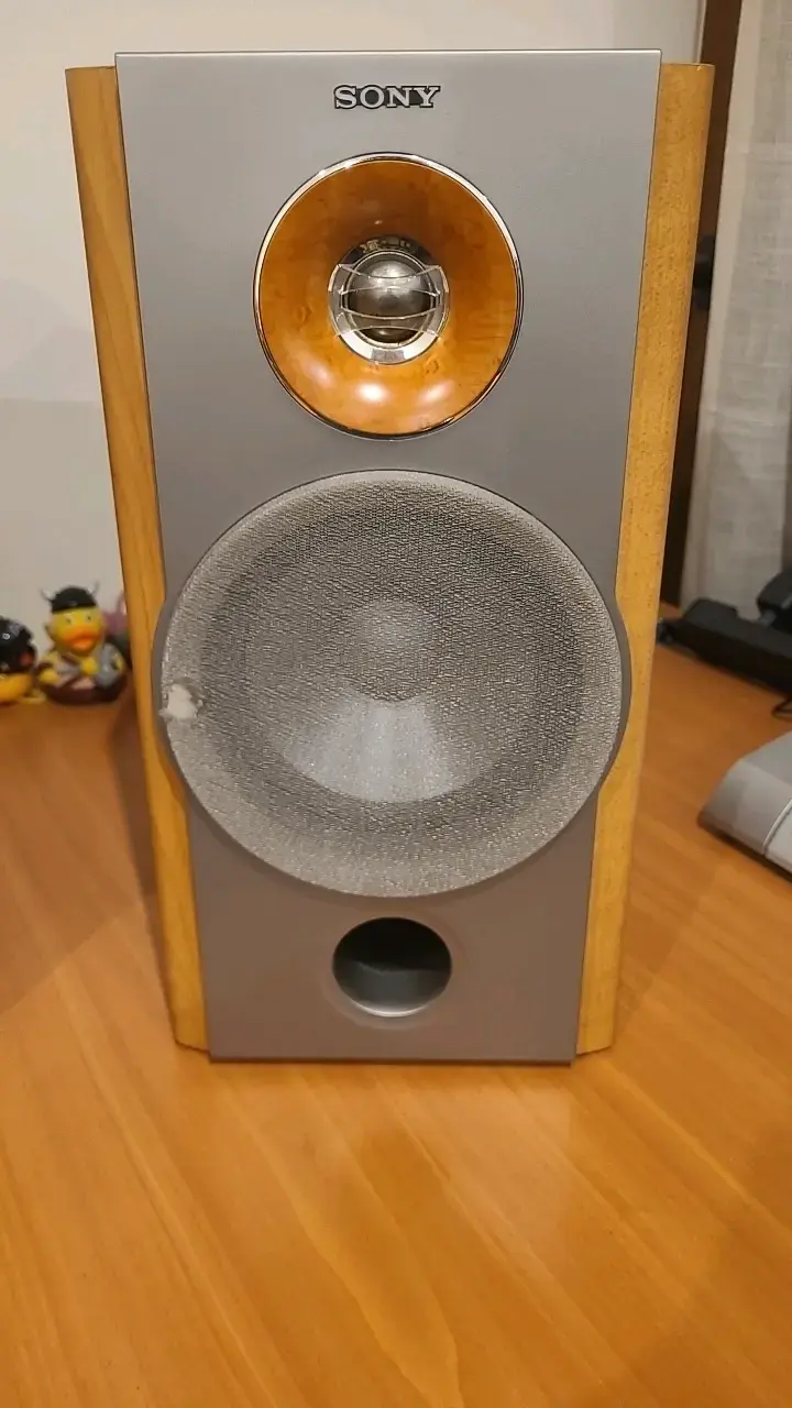 Parlantes Sony SS-NX1 de madera - 6
