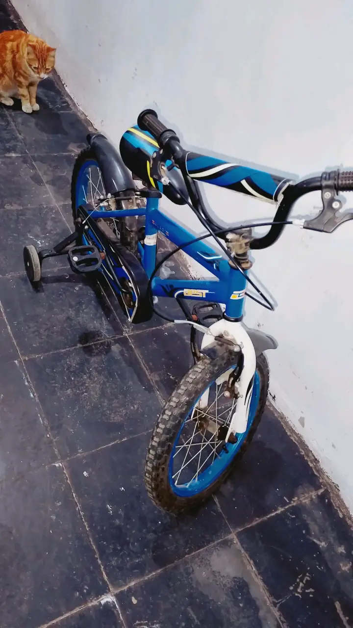Bicicleta infantil azul con ruedas de entrenamiento - 1